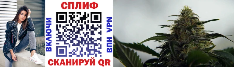 Каннабис White Widow Нурлат